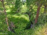 Tract 6 Lone Elk Ranch - Photo 8