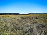 Tract 10 Lone Elk Ranch - Photo 13