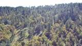 E1 Soaring Eagle Road - Photo 9