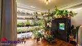 428 Walnut St - Photo 40