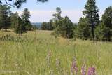 Tract 10 River Road - Photo 15
