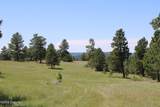 Tract 10 River Road - Photo 16