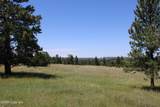 Tract 10 River Road - Photo 17