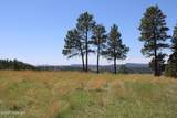 Tract 10 River Road - Photo 18