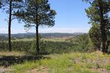 Tract 10 River Road - Photo 21