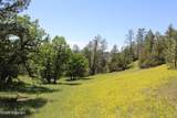 Tract 10 River Road - Photo 24