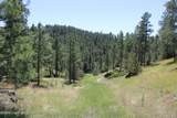 Tract 10 River Road - Photo 25