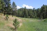 Tract 10 River Road - Photo 28