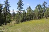 Tract 10 River Road - Photo 29