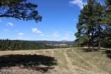 Tract 11 River Rd - Photo 11