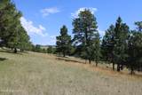 Tract 11 River Rd - Photo 21