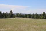 Tract 11 River Rd - Photo 23