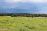 Tract 14 River Road - Photo 14