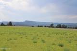 Tract 14 River Road - Photo 15