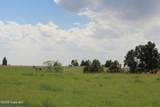 Tract 14 River Road - Photo 16