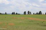 Tract 14 River Road - Photo 17