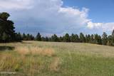 Tract 14 River Road - Photo 21
