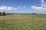 Tract 14 River Road - Photo 22