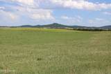 Tract 14 River Road - Photo 23