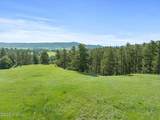 Tract 5 Lone Elk Ranch - Photo 4