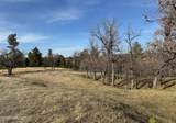 Tract 5 Lone Elk Ranch - Photo 8