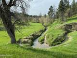 Tract 6 Lone Elk Ranch - Photo 2