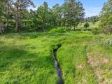 Tract 6 Lone Elk Ranch - Photo 6