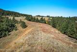 Tract 8 Lone Elk Ranch - Photo 7