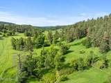 Tract 10 Lone Elk Ranch - Photo 4