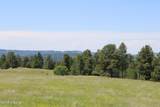 Tract 10 River Road - Photo 14