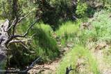 Tract 11 River Rd - Photo 13