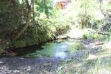 Tract 11 River Rd - Photo 14