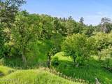 Tract 6 Lone Elk Ranch - Photo 4