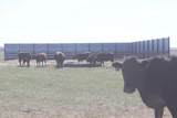 15051 Wyoming 59 - Photo 151