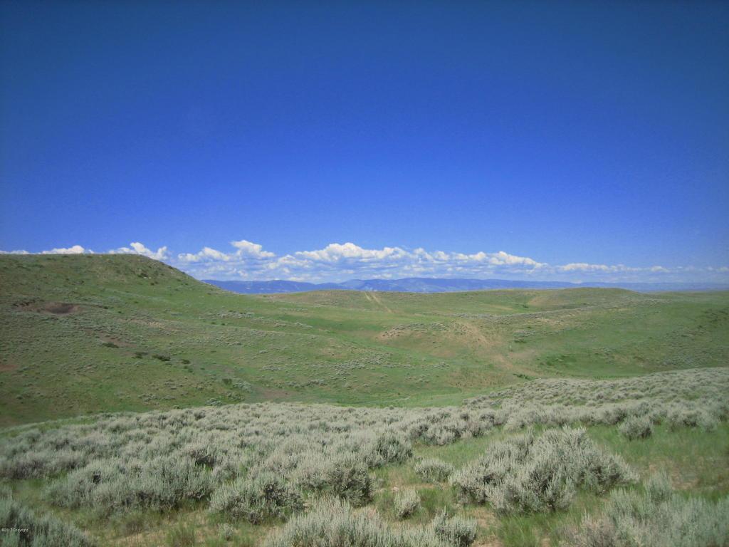 Tract 13 Decker Rd - Photo 1