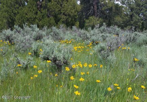 0 Crook County - Photo 1
