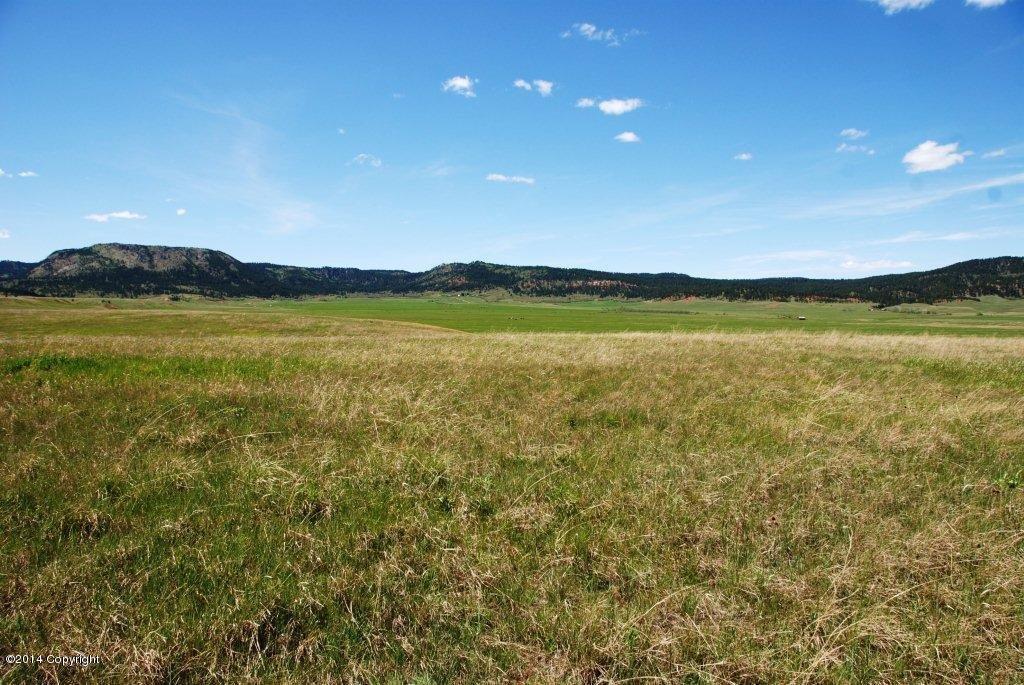 Lot 8 Government Valley Road - Photo 1