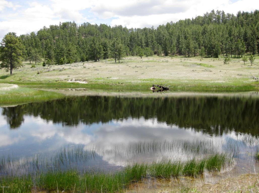 80 Ruger Road - Photo 1