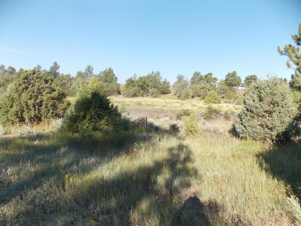 101 Cimarron - Photo 1