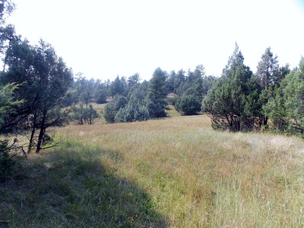 Tbd R Ranch Rd - Photo 1