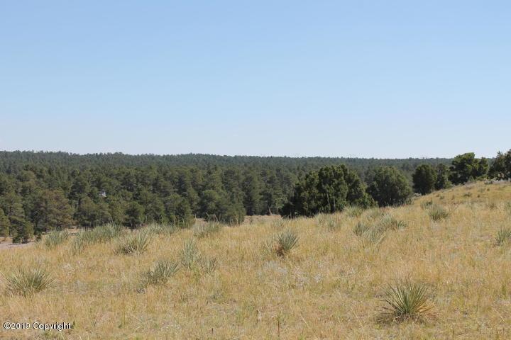 Tbd Iron Run Rd. - Photo 1