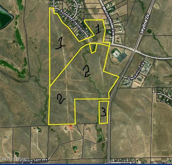 4100 Skyline Dr - Photo 1