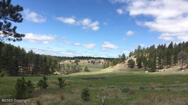 Tbd Gold Rush Trail - Photo 1