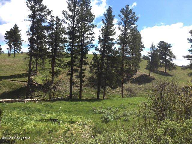 Tbd Gold Rush Trail - Photo 1