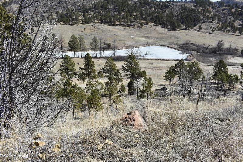 Tbd Big Plum Creek - Photo 1