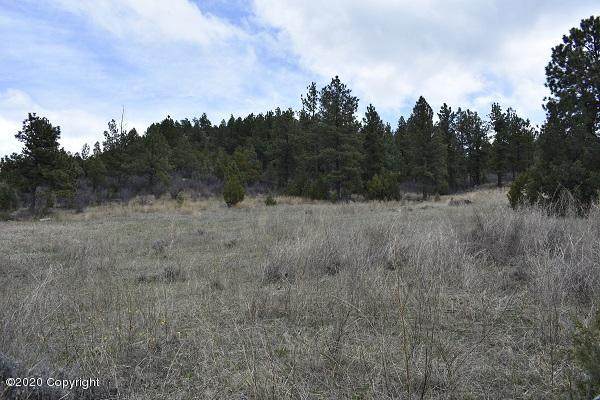 Tbd Nesw Salt Creek Rd - Photo 1