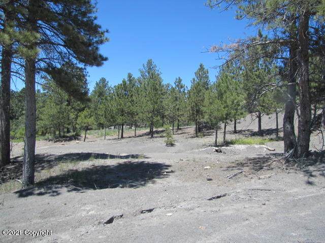 Tbd Washington Park Subdivision - Photo 1