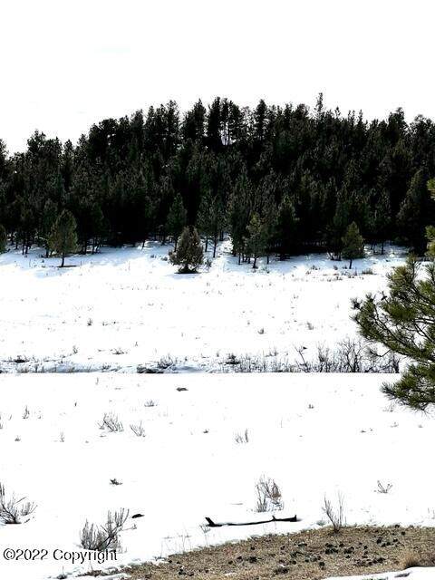 Tbd Tract 4 - Photo 1