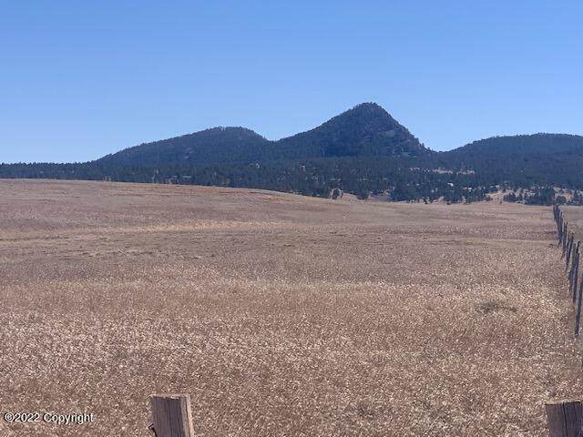 Tbd Kara Mountain - Photo 1