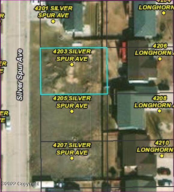 4203 Silver Spur Ave - Photo 1